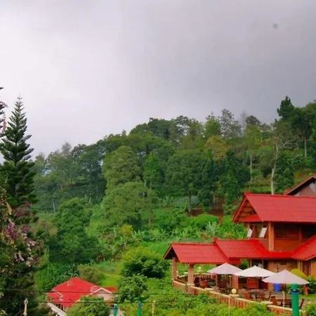 Talita Resort Ciloto Puncak-2